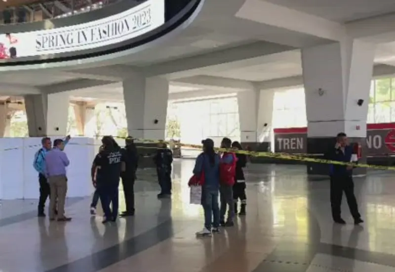 cae_mujer_plaza_comercial
