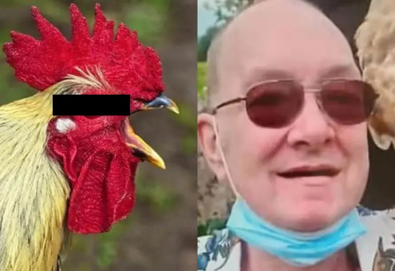 gallina_ultima_anciano