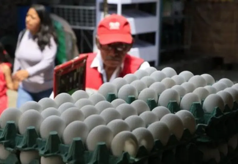 huevos
