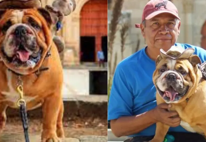 baloo_y_su_entrenador