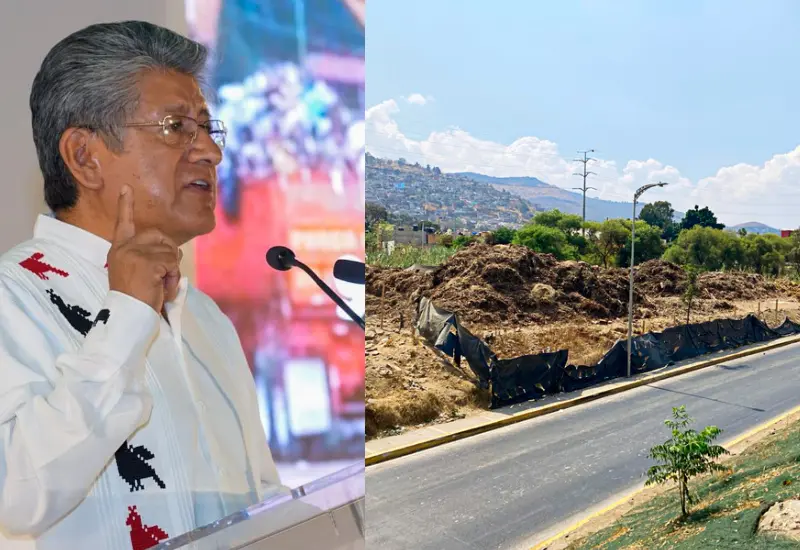  La zona se encuentra libre de residuos.