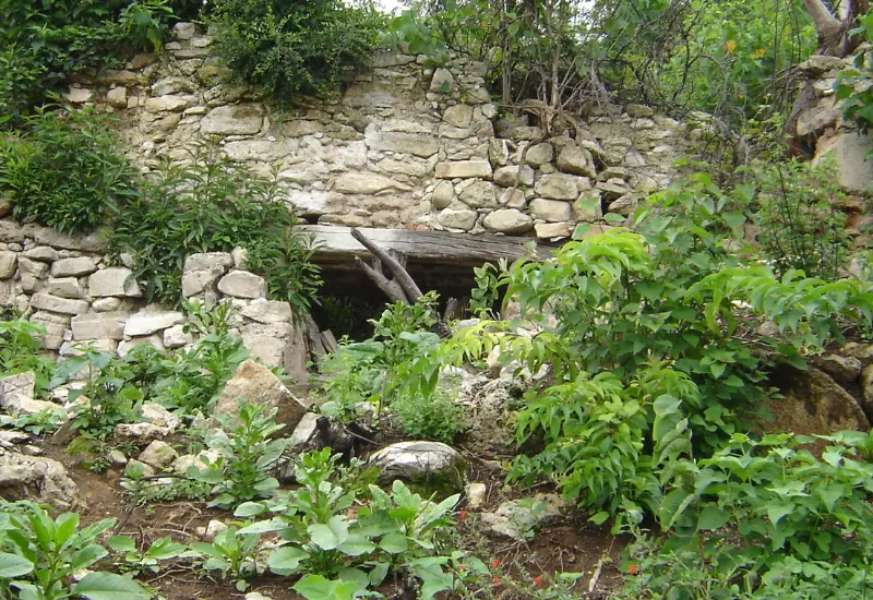 Molino