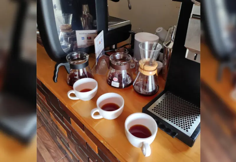 cafe_mixteca_alta