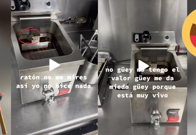 Ratón en freidora