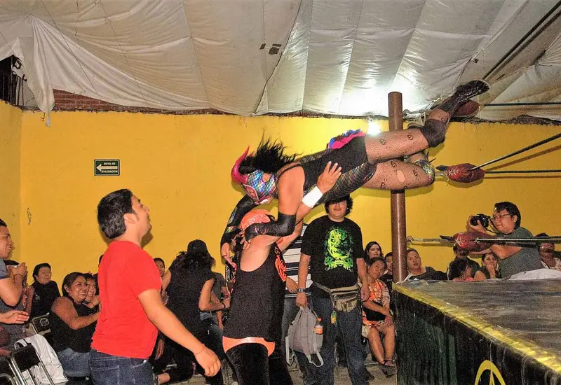 luchadora 