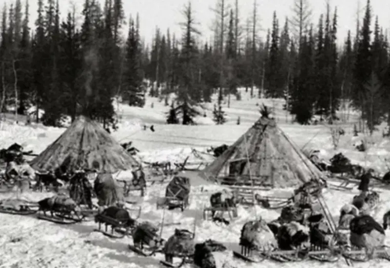Tribu