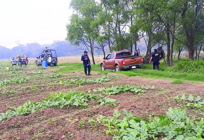 campo 