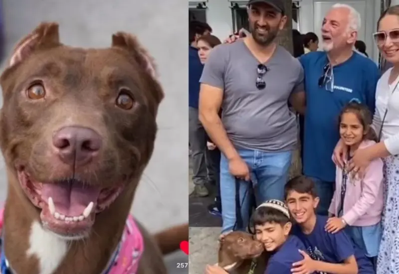 reencuentran_a_perrita_mocha