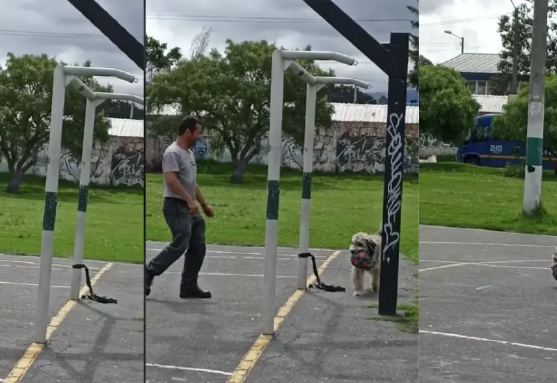 perrito-portero