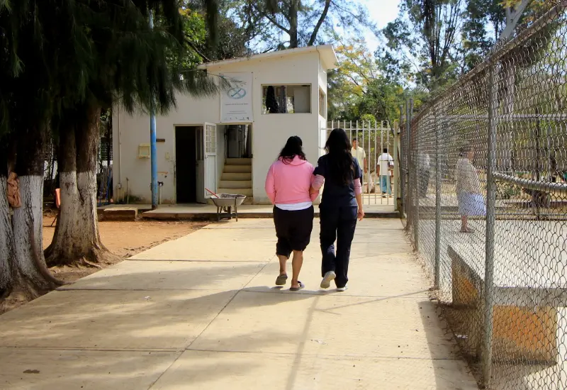 Rehabilitación 
