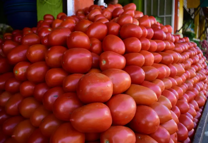 Tomate