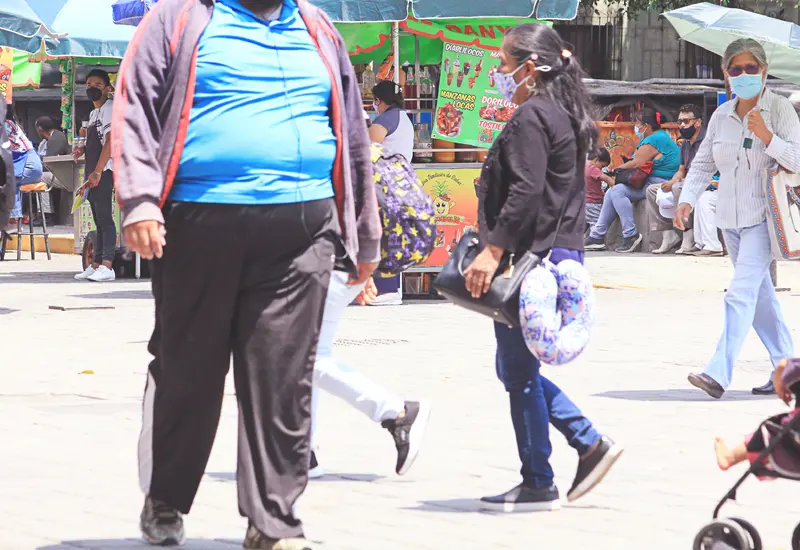 obesidad_problema_enfermedad_cerebro