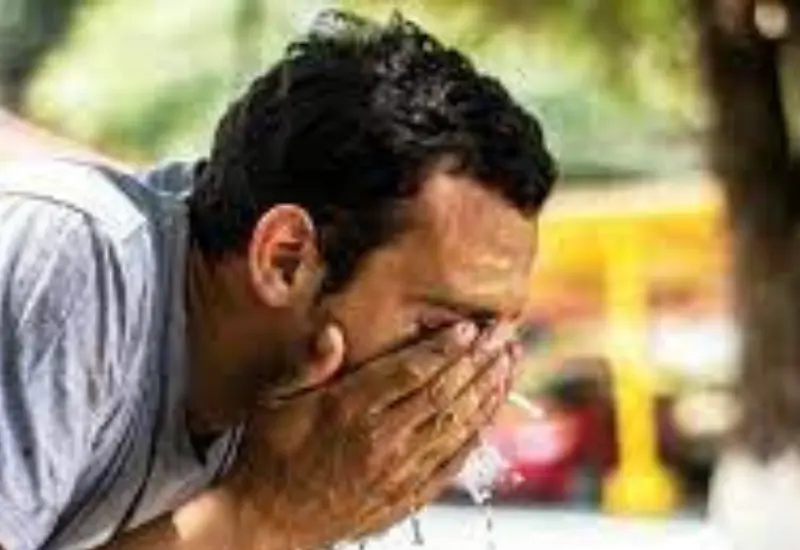 Ola de calor