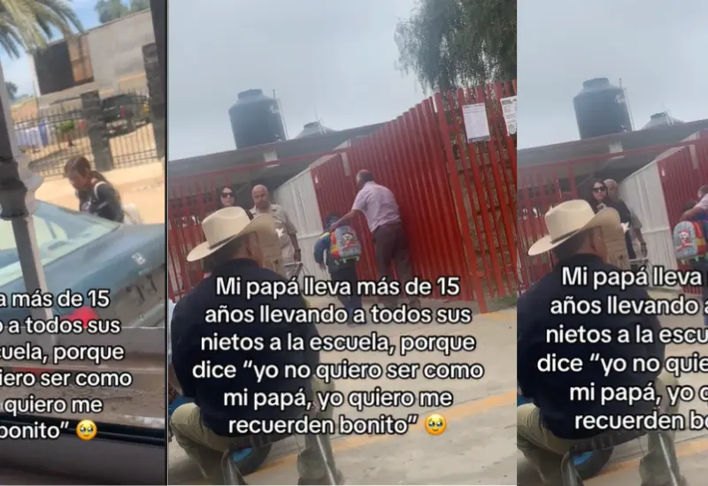 abuelito-nieto-video