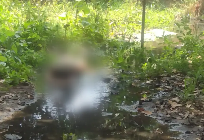 Fue localizado el cuerpo de una persona que presentaba impactos de arma de fuego.