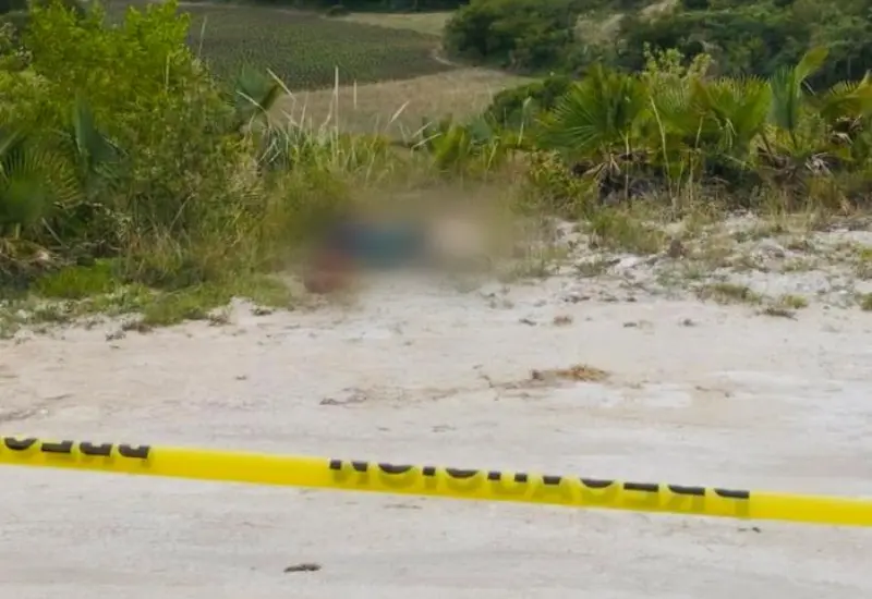dos_cuerpos_maniatados_en_carretera