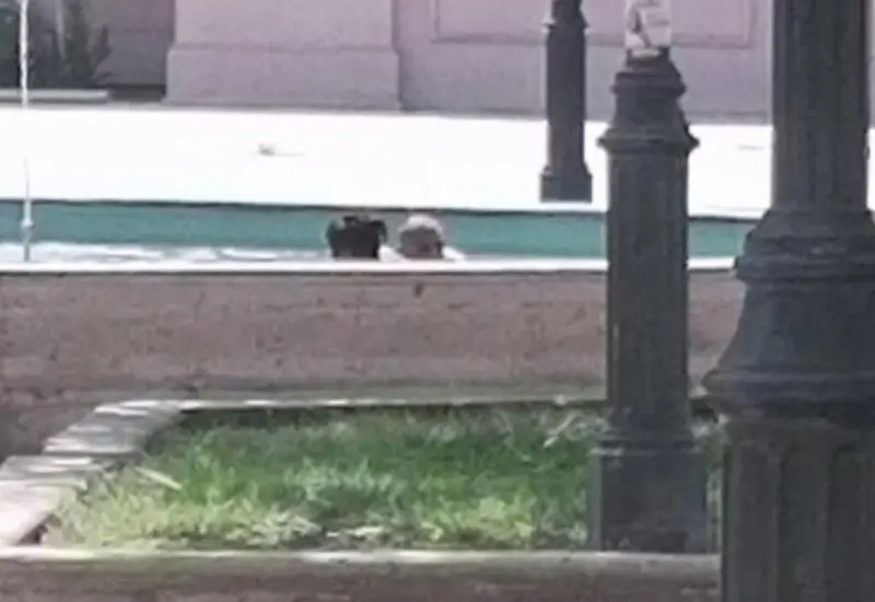 Captura_pantalla_video_fuente_personas