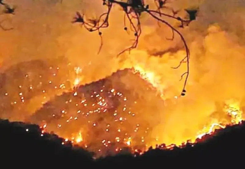 oaxaca_con_incendios_forestales