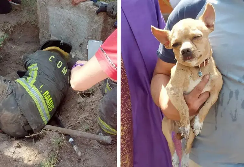 perrito_rescatado_por_bomberos