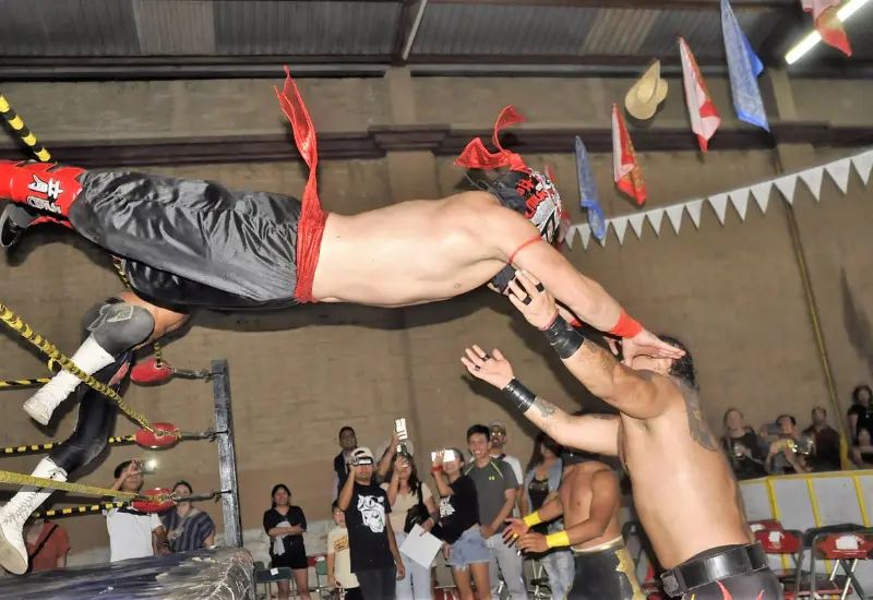 octagon_junior_sobre_pirata_junior