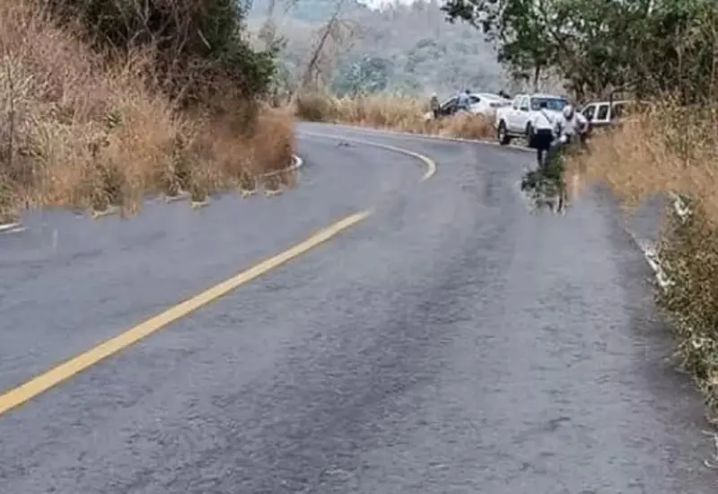 Es encontrado sobre carretera