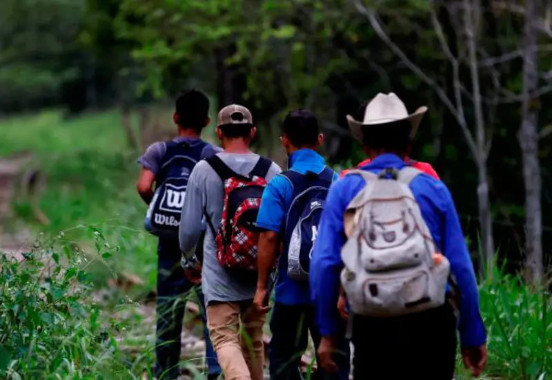 migrantes 