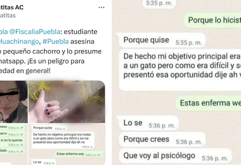 Twit de mundo patitas y captura de pantalla 