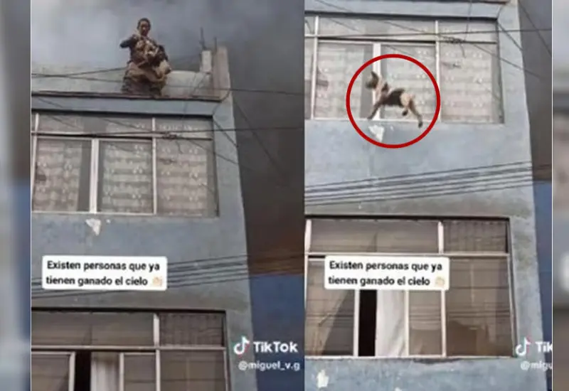 hombre_salva_perritos_en_incendio