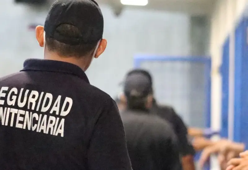 Seguridad penitenciaria