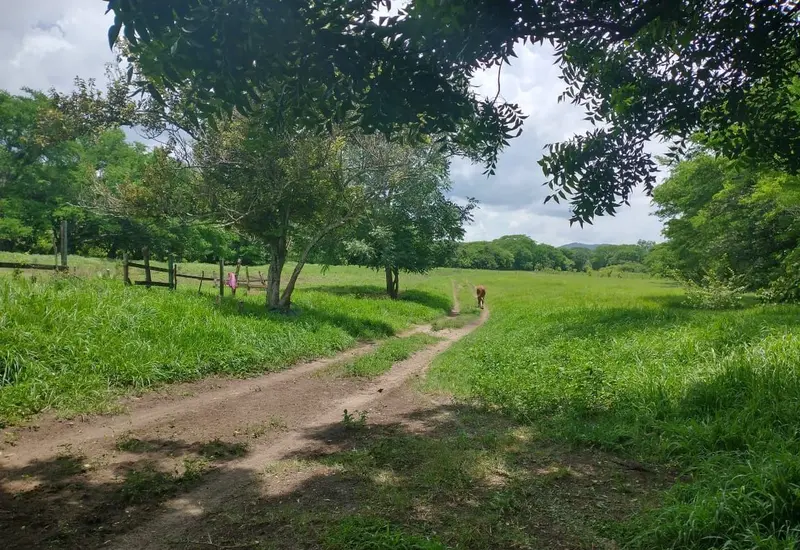 prado