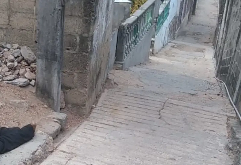 lesionado 