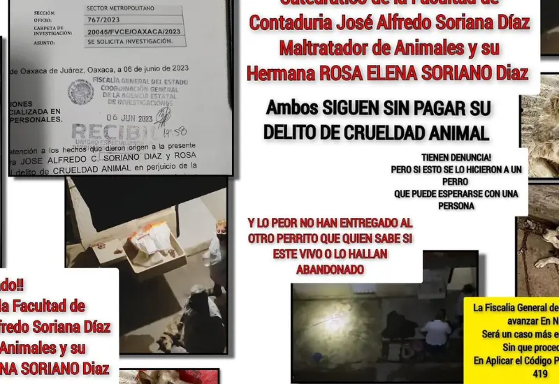 Cartel