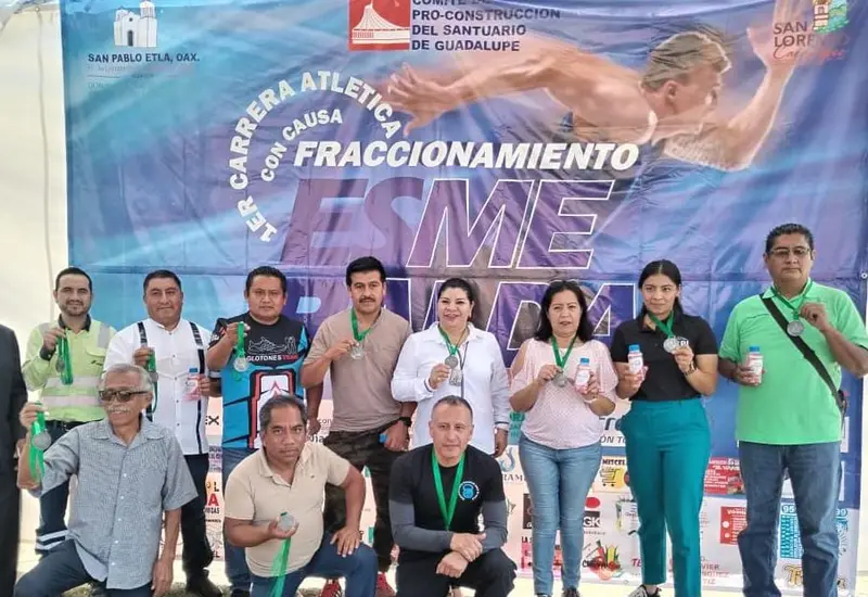 organizadores