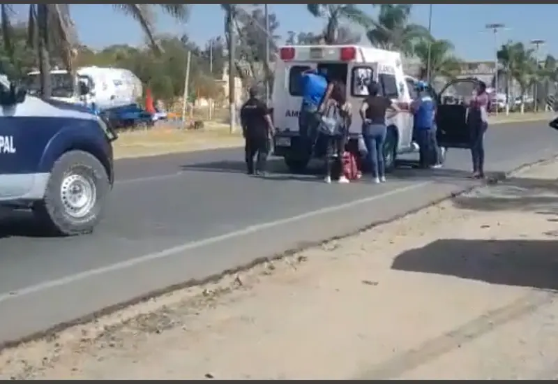 accidente_perrito_oaxaca
