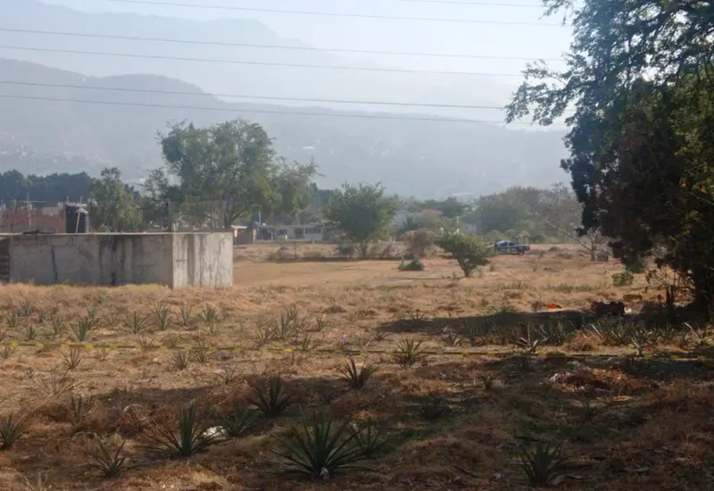 terreno