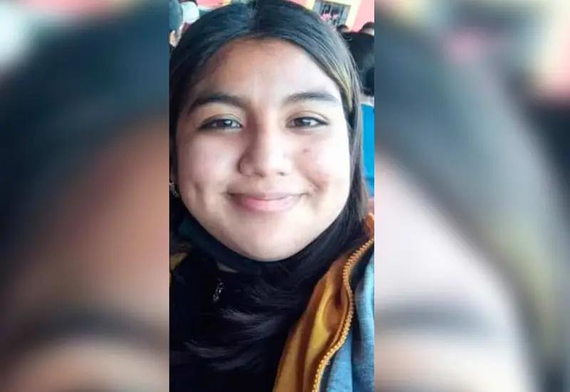 desaparecida 
