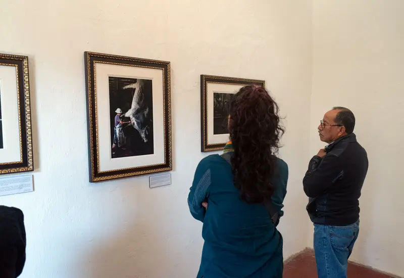 exposicion