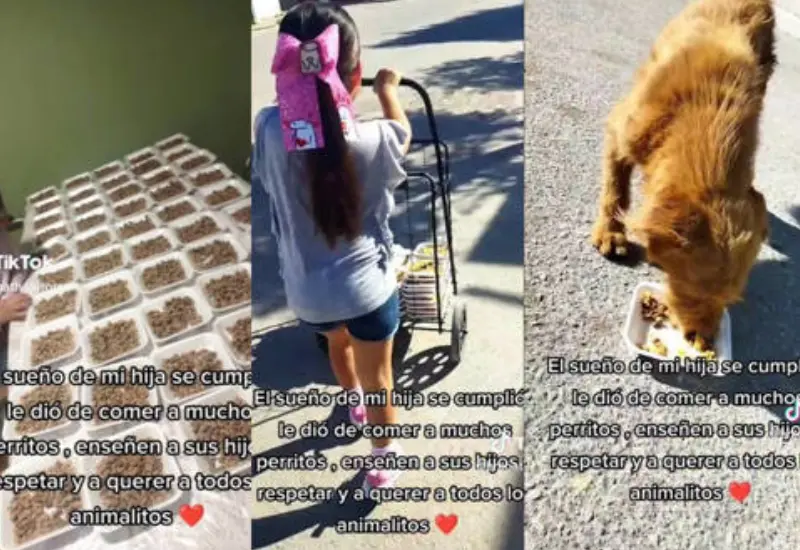 niña_prepara_banquete_para_lomitos