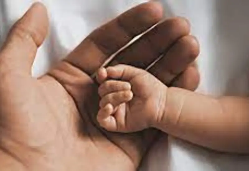 paternidad