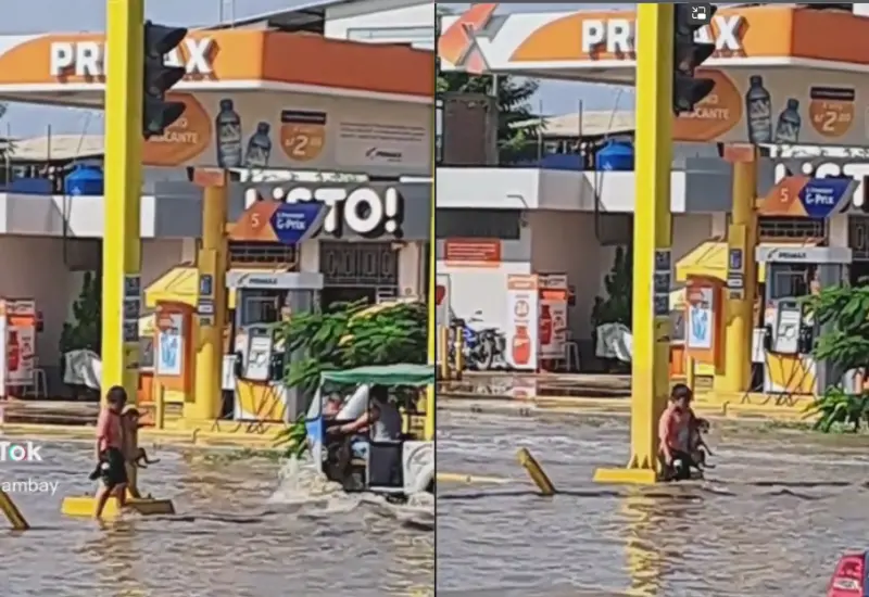perro-niño-inundacion