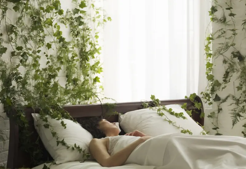 persona-en-cama