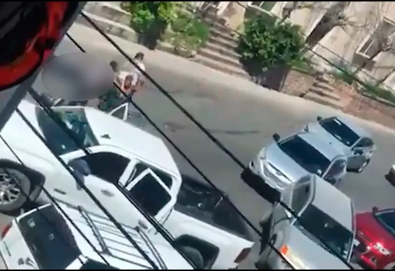 camionetas 
