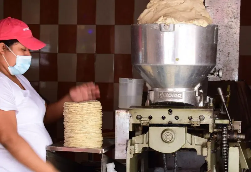tortilleria
