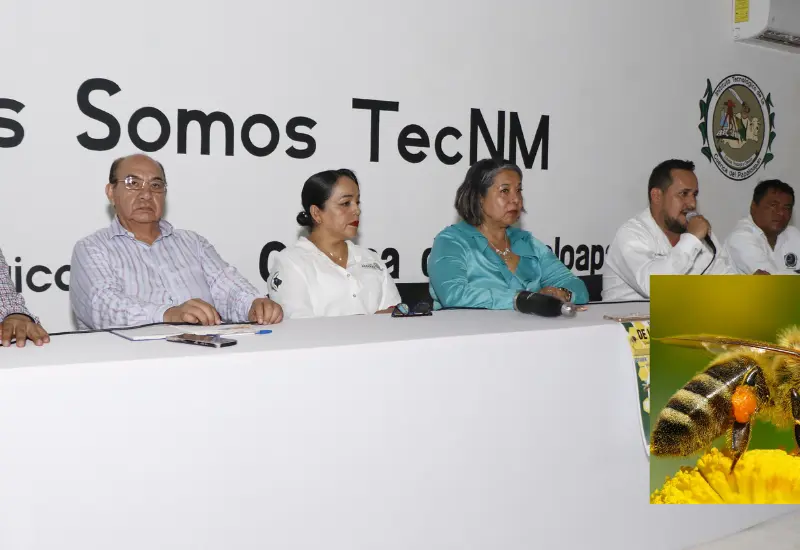 abejas5