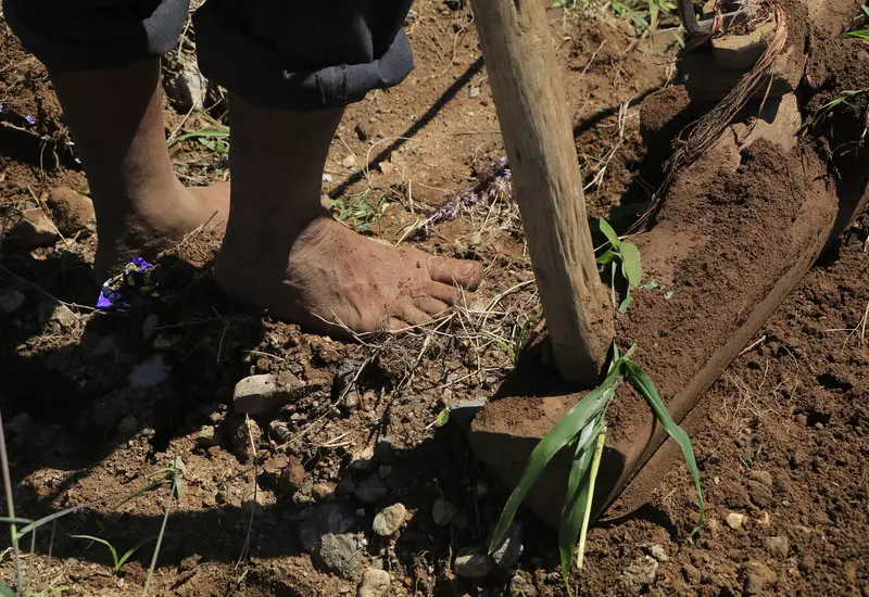 abandonan_tierras_agricolas_en_oaxaca