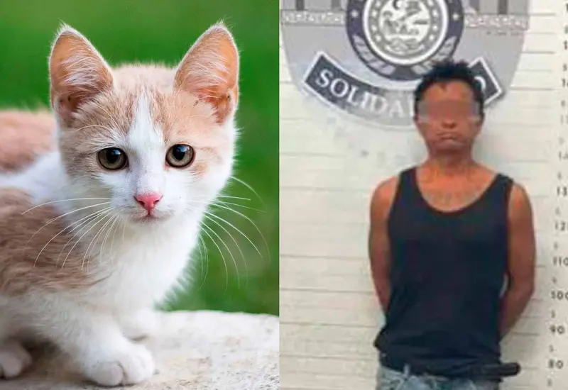 hombre-detenido-gato