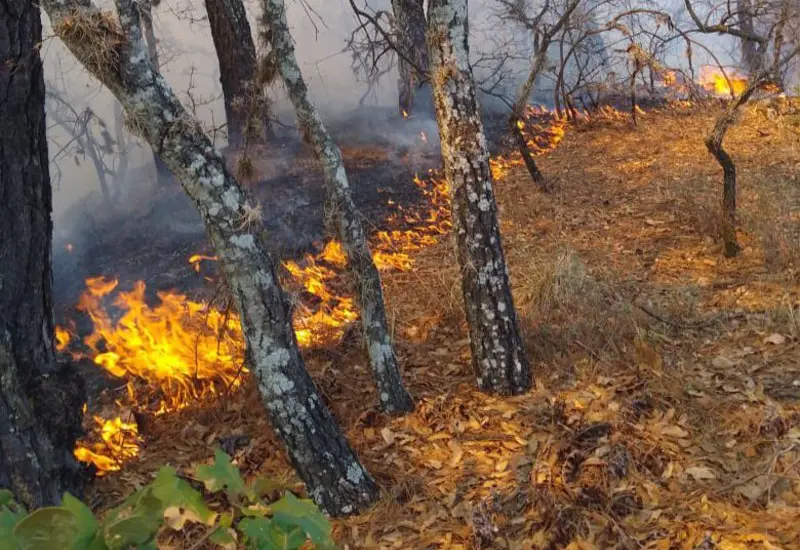 incendios