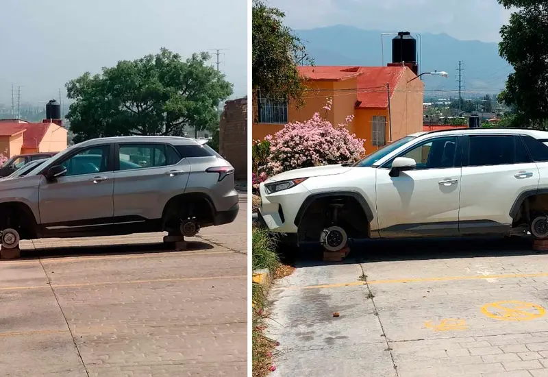 camionetas 
