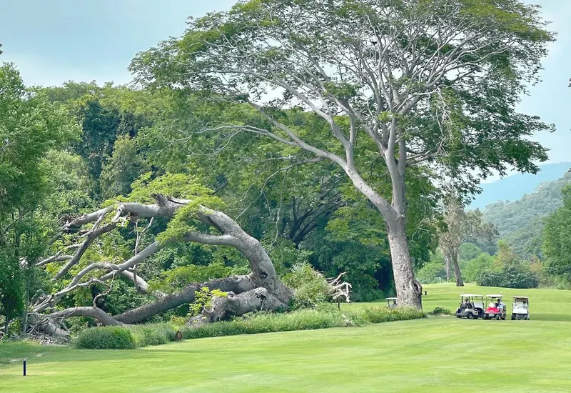 Portada-campo-de-golf