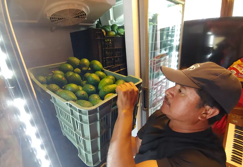 oaxaca-aguacate